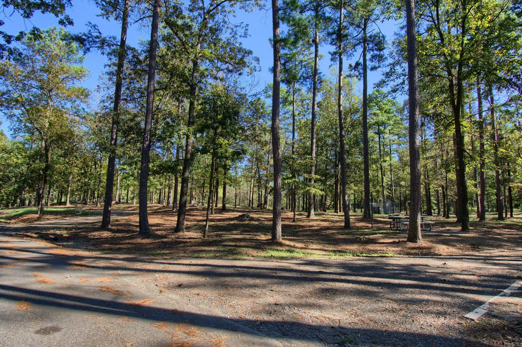 The Americana - Parker Creek Bend Cabins Murfreesboro Esterno foto