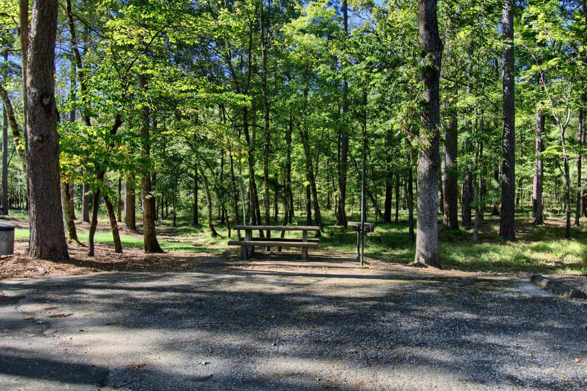 The Americana - Parker Creek Bend Cabins Murfreesboro Esterno foto